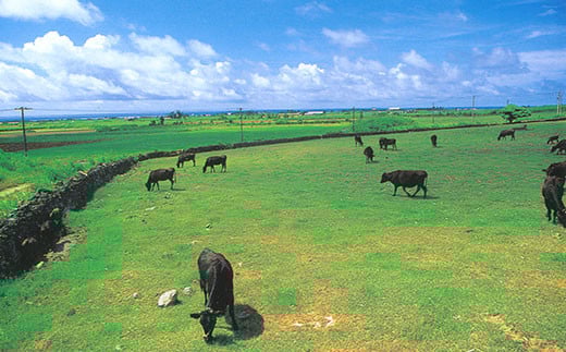 石垣牛お試しセット ハンバーグ2個＋フランク2個（ゆいまーる牧場）U-9-1