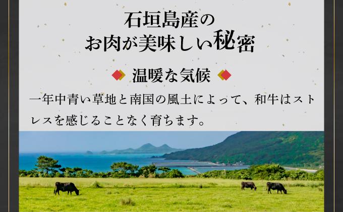 【2026年5月発送】担当者イチオシ!! 石垣島産《黒毛和牛》切り落とし 1kg (500g×2) | お肉 肉 牛肉 冷凍 和牛 牛肉 冷凍  人気 おすすめ 国産 国産牛 小分け 八重山食肉センター 【2026年5月発送】