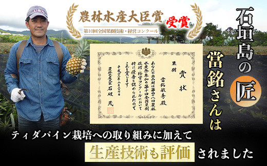 ＜先行予約＞ 當銘さんの完熟カットパイン 2.5kg (250g×10袋) ＜2026年6月上旬から発送＞ | パイナップル パイン 冷凍パイン 沖縄 石垣島 小分け 2.5kg (250g×10袋)