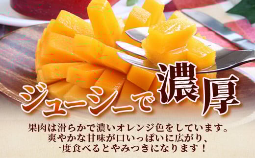 ＜先行予約＞ 石垣島産 マンゴー (アーウィン種) 約1.5kg (2〜5玉) 家庭用 ＜2026年6月順次発送＞ | 産地直送 家庭用 訳あり 沖縄県 石垣市 石垣島 JA 訳ありマンゴー マンゴー アーウィン AE-11