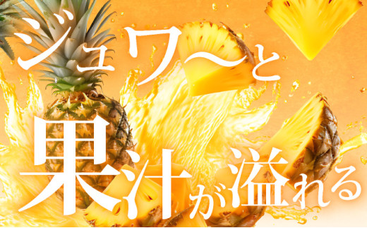 【先行予約】石垣島産 中玉スナックパイン（ボゴール）4玉 約4kg 《2026年5月以降発送》SI-111 中玉 4玉 約4.0kg