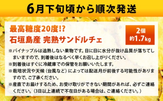 【先行予約2026年6月下旬から順次発送】最高糖度20度！？クリーミーな味わいが魅力の石垣島産完熟サンドルチェ 2個セット