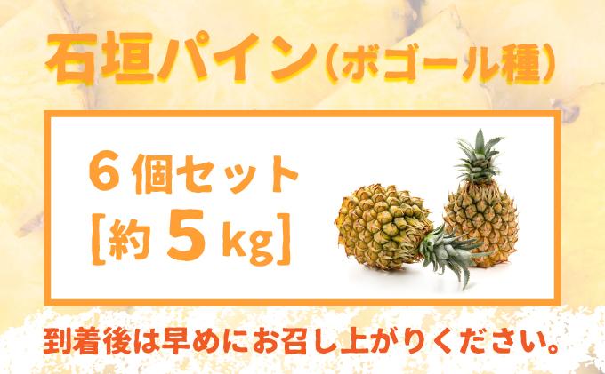 ＜先行受付＞ 石垣パイン 6個セット ボゴール種 ＜2026年5月初旬以降発送＞ | パイナップル パインアップル 石垣島パイン フルーツ 果物 くだもの 南国フルーツ 国産パイン MI-005 6個セット（約5kg）