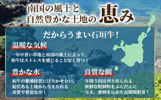 ≪特選≫ 石垣牛100% ハンバーグ (100g×3個) ＆ ≪特選≫ 石垣牛 元卸のお任せ焼肉 (180g) セット（八重山パーツミート）I-17-1