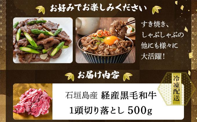 石垣島産経産黒毛和牛 1頭切り落とし 500g 切り落とし 500g