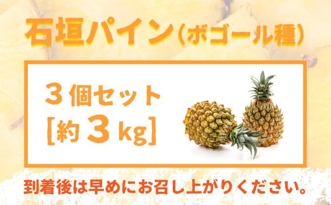＜先行受付＞ 石垣パイン 3個セット ボゴール種 ＜2026年5月初旬以降発送＞ | パイナップル パインアップル 石垣島パイン フルーツ 果物 くだもの 南国フルーツ 国産パイン MI-004 3個セット（約3kg）