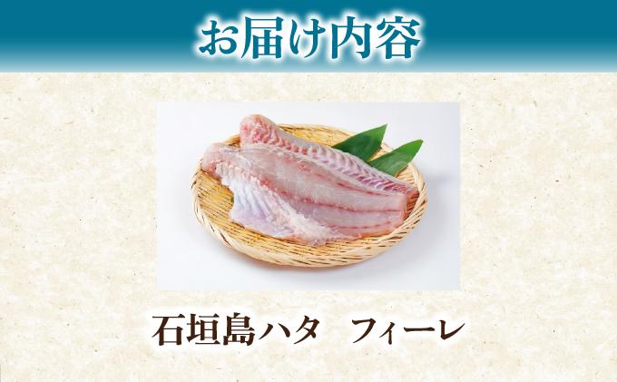 石垣島 ハタ フィーレ | 勝水産 ミーバイ ヤイトハタ 沖縄県石垣市 石垣 沖縄 石垣市 石垣島 KS-14 フィーレ