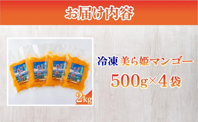 冷凍美ら姫マンゴー 2kg（500g×4袋）CB-4 2kg