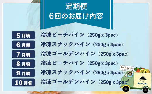 ＜期間限定 春フェア＞ 石垣島冷凍パイナップル 250g×3パック×6回 定期便 | パイナップル パイン ピーチパイン スナックパイン ゴールデンパイン フルーツ 定期便 冷凍 産地直送 沖縄県 石垣市