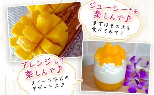 ［予約受付］美ら姫マンゴー2kg（完熟・アーウィン種）≪2026年7月中旬～順次発送≫【 産地直送 沖縄県 石垣市 マンゴー フルーツ 果物 南国 石垣島 】CB-2 2kg