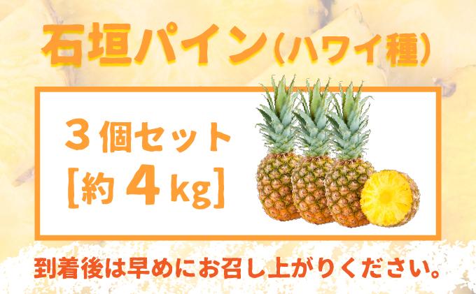 ＜先行受付＞石垣パイン ハワイ種 3個セット＜2026年7月上旬発送＞ | パイナップル パインアップル 石垣島パイン フルーツ 果物 くだもの 南国フルーツ 国産パイン MI-6-1 3個(約4kg)