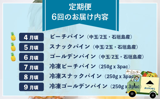 ＜期間限定 春フェア＞ 石垣島産 パイナップル 青果とフローズンのセット 6回定期便 | 青果3回 冷凍3回 沖縄県 石垣市 果物 果物 南国フルーツ パイン 送料無料 コッパリ