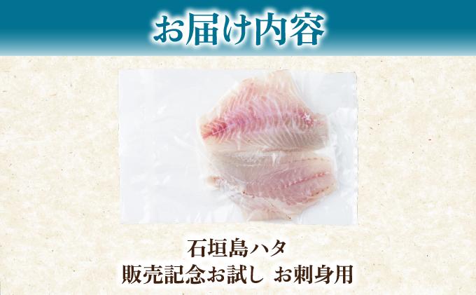 石垣島 ハタ 販売記念お試しお刺身用 | 勝水産 ミーバイ ヤイトハタ 沖縄県石垣市 石垣 沖縄 石垣市 石垣島 KS-16 お試しお刺身用