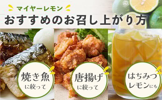 【先行予約】≪2026年8月以降順次発送≫ こだわりの青切りマイヤーレモン 約2kg (12～18個) 【 沖縄 石垣 数量限定 フルーツ レモン マイヤー メイヤー こだわり 】TF-027 約2kg（12~18個）