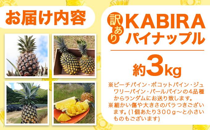KABIRA パイナップル 訳あり ご家庭用 約3kg 4種のパインからお任せ ＜2026年6月から発送＞ | 石垣 パイン  MF-002