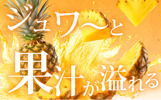 ＜先行予約＞ 石垣島産 ゴールドバレル１玉 約2.0kg ギフト用梱包 ＜2026年7月以降発送＞ | ギフト 贈り物 産地直送 沖縄 石垣 フルーツ パイナップル パイン ゴールドバレルパイン SI-127 【大玉】1玉入り(約2kg)ギフト用