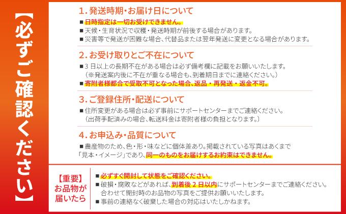 【先行予約】《2026年6月下旬～7月下旬発送》 最高糖度20度！？ 完熟！3Lサイズ 石垣島マンゴー 2玉約900g【沖縄 石垣島 石垣 八重山 マンゴー 完熟マンゴー 期間限定 数量限定 沖縄県 石垣島産 】TF-5-1_R8