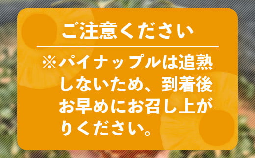 【予約受付】《2026年5月下旬～7月中旬発送》最高糖度18度！？ 完熟の極 石垣島産ジュワリーパイン 【 沖縄県 石垣市 石垣島 完熟 パイン パイナップル ジュワリー 予約受付 】TF-16-1_R8