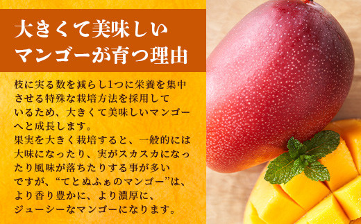 《2026年6月下旬～7月発送》【先行予約】最高糖度20度！？ まるで恐竜の卵！？完熟超特大マンゴー2個入り【 沖縄 石垣 八重山 マンゴー 完熟 期間限定 数量限定 特大 大玉 】TF-30