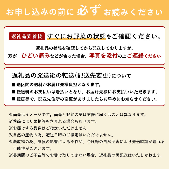 石垣島産 野菜 BOX 1箱 ≪定番・旬の野菜６~８種類≫ 野菜パワーをあなたに！！|野菜セット おまかせセット 旬 季節のお野菜 旬の野菜セット 詰め合わせ 島野菜 沖縄県 石垣市 石垣島 石垣 CK-1 石垣島産 野菜 BOX 1箱