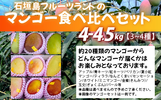 【先行予約】産地直送！石垣島産 マンゴー 食べ比べセット4～4.5kg (３～４種) (2024年6月中旬～8月下旬発送) IF-8