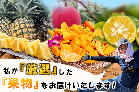 《2026年4月以降順次発送》【先行予約】最高糖度20度！？ 完熟の極 石垣島産パイナップル ピーチパイン3個セット【 沖縄 石垣島 石垣 八重山 パイン ピーチパイン 期間限定 数量限定 沖縄県 石垣島産 】TF-1-1_R8