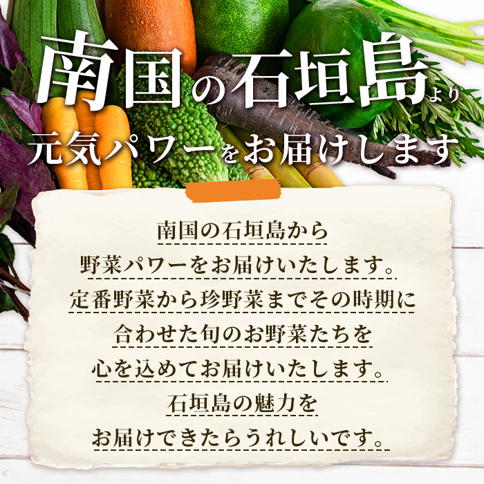 石垣島産 野菜 BOX 1箱 ≪定番・旬の野菜６~８種類≫ 野菜パワーをあなたに！！|野菜セット おまかせセット 旬 季節のお野菜 旬の野菜セット 詰め合わせ 島野菜 沖縄県 石垣市 石垣島 石垣 CK-1 石垣島産 野菜 BOX 1箱