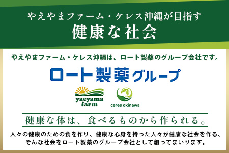 石垣島産 やえやまファームのアグ―豚（南ぬ豚）ハンバーグ10個セット E-8-1