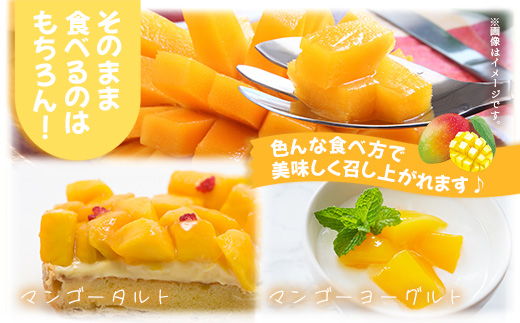 【先行予約】産地直送！石垣島産 マンゴー 食べ比べセット4～4.5kg (３～４種) (2024年6月中旬～8月下旬発送) IF-8