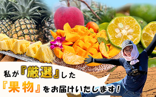 《2026年6月中旬以降発送》島の美味しいを詰め込んだ、パイン＆マンゴーのよくばりセット！【 沖縄県 石垣市 石垣島 完熟 パイン パイナップル スナック マンゴー セット 詰め合わせ 産地直送 】TF-24_R8