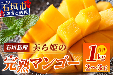 ［予約受付］美ら姫マンゴー1ｋｇ（完熟・アーウィン種）≪2026年7月中旬～順次発送≫ CB-1
