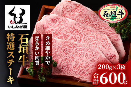 石垣牛特選サーロインステーキ200g×3枚 AB-20