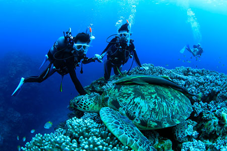 PS-3 ぷしぃぬしまアクティビティツアー利用券(10000円分)