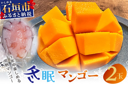 《2025年7月以降発送》最高糖度20度！？ 完熟！3Lサイズ 石垣島産冬眠マンゴー TF-17-1_R8