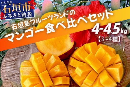 【先行予約】産地直送！石垣島産 マンゴー 食べ比べセット4～4.5kg (３～４種) (2024年6月中旬～8月下旬発送) IF-8