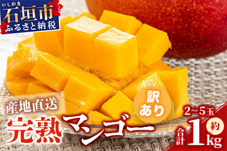 【予約販売】【訳あり】 完熟 マンゴー (約1～1.2kg 2～5個)B級 《2025年7月上旬から順次発送》 産地直送 フルーツ 果物 マンゴー  石垣 沖縄 KP-13
