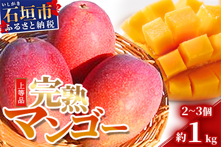 石垣島産 完熟マンゴー 約1kg エコ箱入り（2～3個入り）2025年6月末〜7月下旬発送 SI-31-1