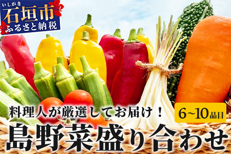 料理人が厳選した島野菜盛り合わせ (6～10品目) 【 野菜詰合せセット  やさい セット 詰め合わせ 冷蔵対応】 TM-7