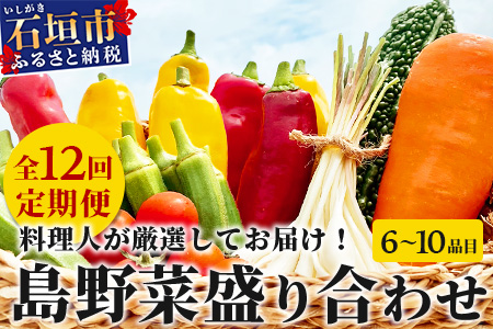 【定期便 12ヶ月】料理人が厳選した島野菜盛り合わせ (6～10品目×12回) 【 野菜詰合せセット  やさい セット 詰め合わせ 冷蔵対応】 TM-8