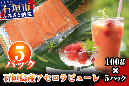 石垣島産アセロラピューレ ５パック CH-1-1
