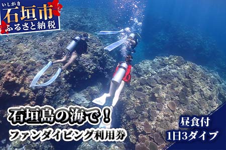 MP-2 石垣島の海でファンダイビング利用券１日３ダイブ