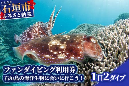 ファンダイビング利用券 石垣島のマンタ・サンゴ・ウミガメに会いに行こう YD-1: 石垣市ANAのふるさと納税