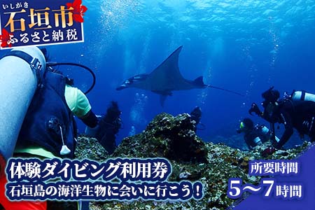 体験ダイビング利用券　石垣島のマンタ・サンゴ・ウミガメに会いに行こう YD-2-1