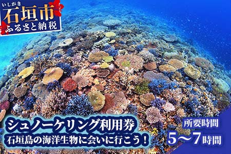 シュノーケリング利用券　石垣島のマンタ・サンゴ・ウミガメに会いに行こう YD-3-1