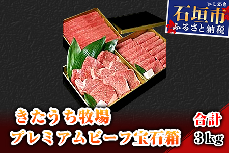 AM-1 きたうち牧場プレミアムビーフ宝石箱　合計3kg