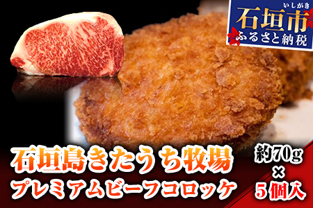 AM-16 石垣島きたうち牧場プレミアムビーフ　コロッケ