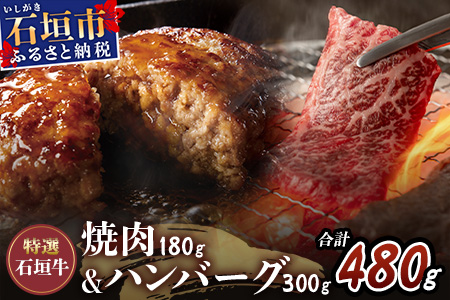 特選石垣牛100%ハンバーグ100g×3個＋特選石垣牛 元卸お任せ 焼肉180g セット（八重山パーツミート）I-17-1