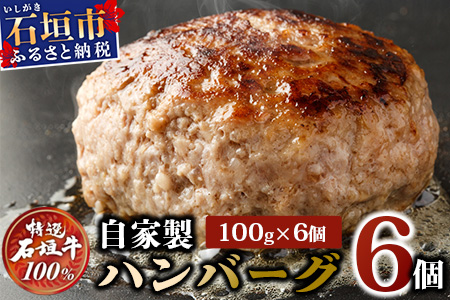 高級 黒毛和牛 石垣牛 100% 自家製 ハンバーグ 100g × 6個 600g  I-21
