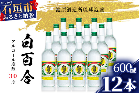 IK-9 池原酒造 白百合 600ml  30度 12本セット