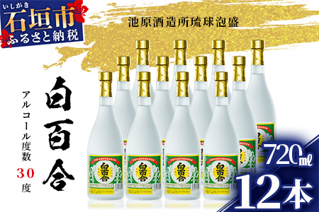 IK-10 池原酒造 白百合 720ml 30度 12本セット